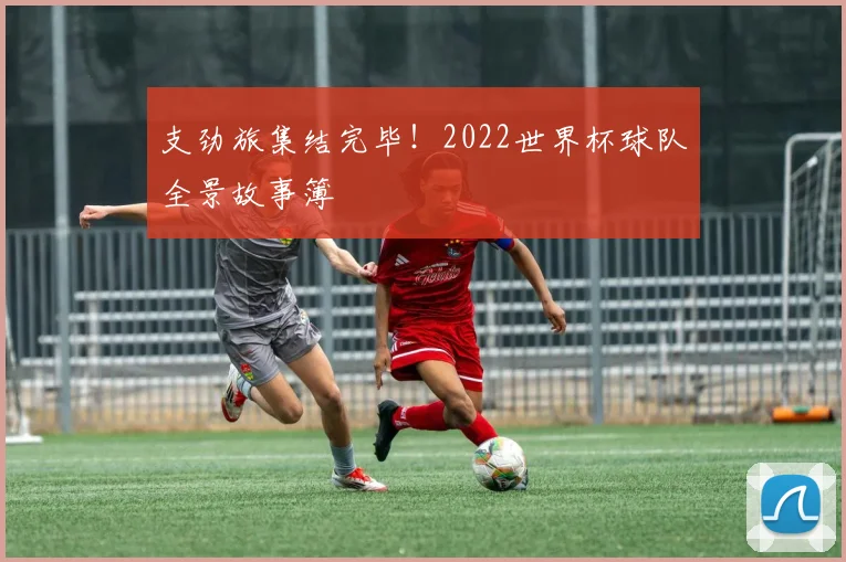 支劲旅集结完毕！2022世界杯球队全景故事簿