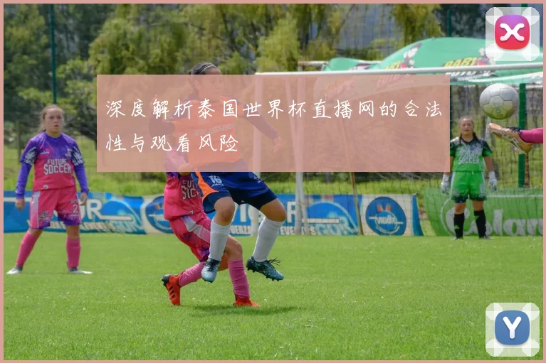 深度解析泰国世界杯直播网的合法性与观看风险