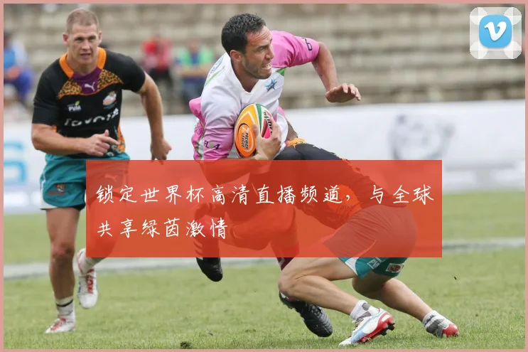 锁定世界杯高清直播频道，与全球共享绿茵激情
