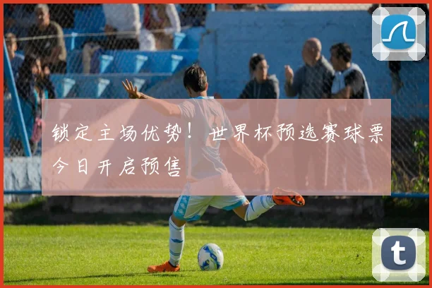 锁定主场优势！世界杯预选赛球票今日开启预售